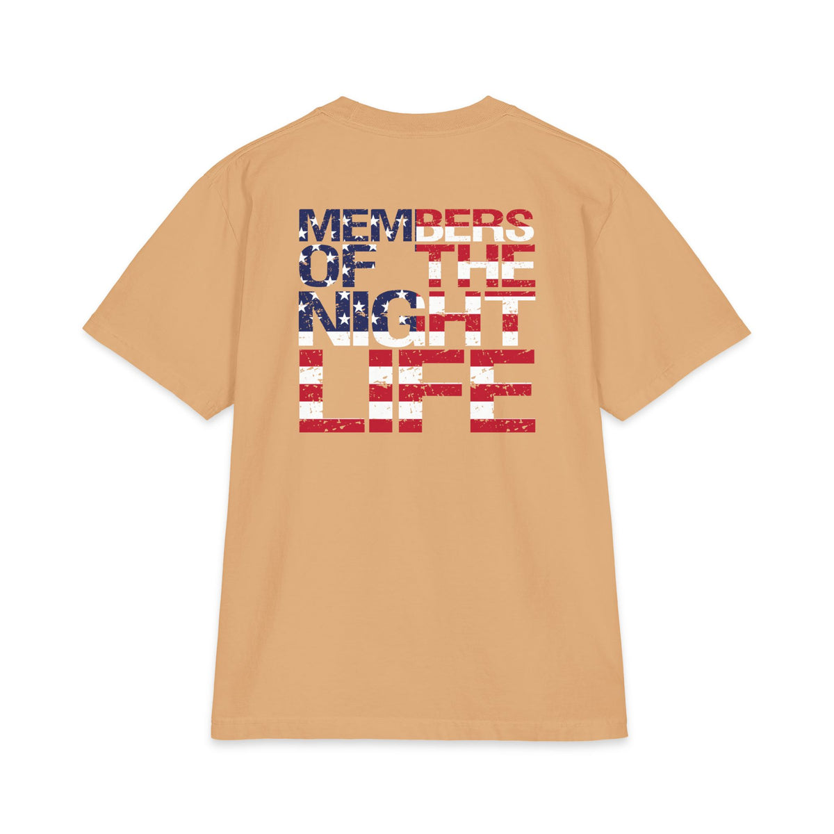 Members of the Night Life American Flag Graphic Tee